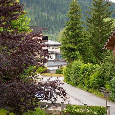 Pension Mozart Wagrain Exteriér fotografie
